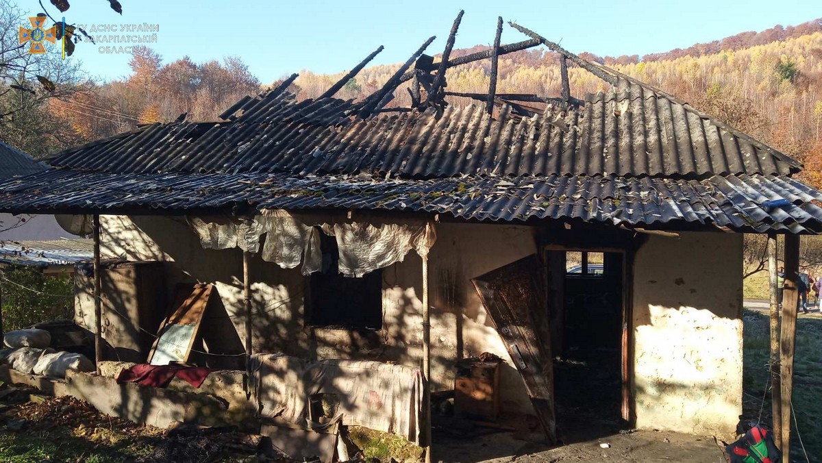 На Закарпатті у пожежі загинули бабуся та її 4-річний онук