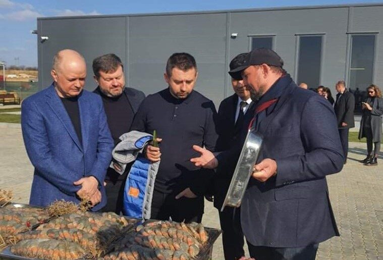 Смарт-специализация регионов: как Арахамия с коллегами креветковую ферму открывали