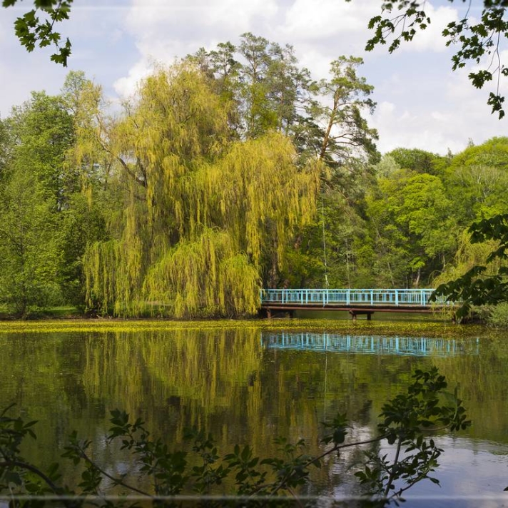 Тростянецкий дендропарк в Черниговской области