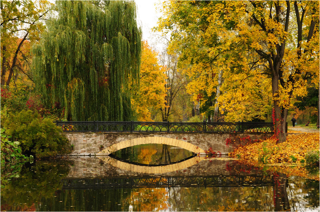 Самые красивые парки в ноябре: как провести последний месяц осени (фото)