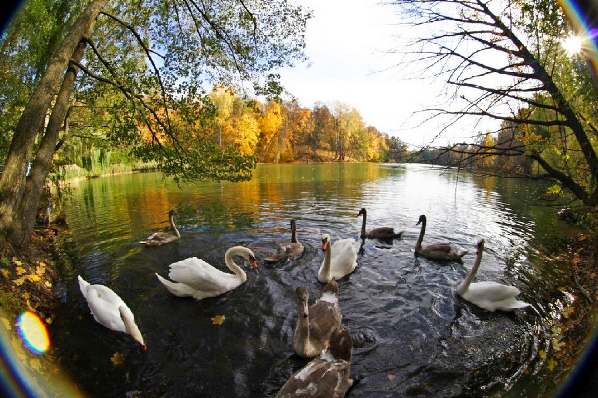 Тростянецкий дендропарк в Черниговской области