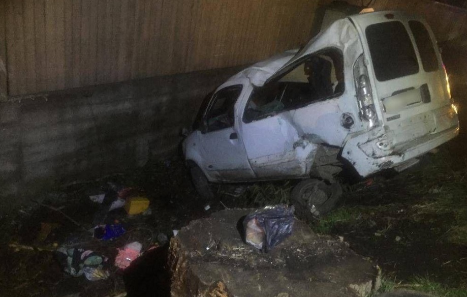 Легковушка съехала в кювет, когда конь выбежал на дорогу на Закарпатье - есть жертва