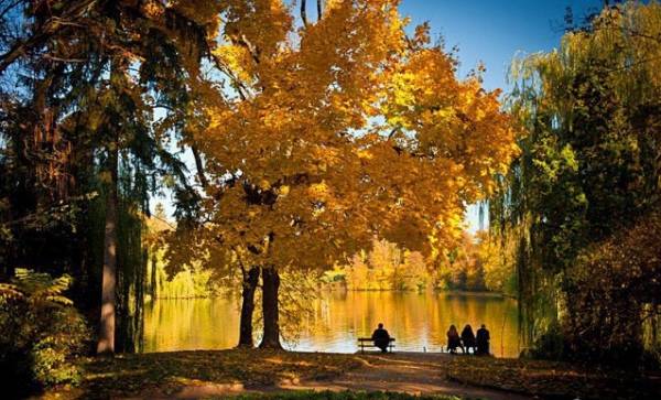 Тростянецкий дендропарк в Черниговской области