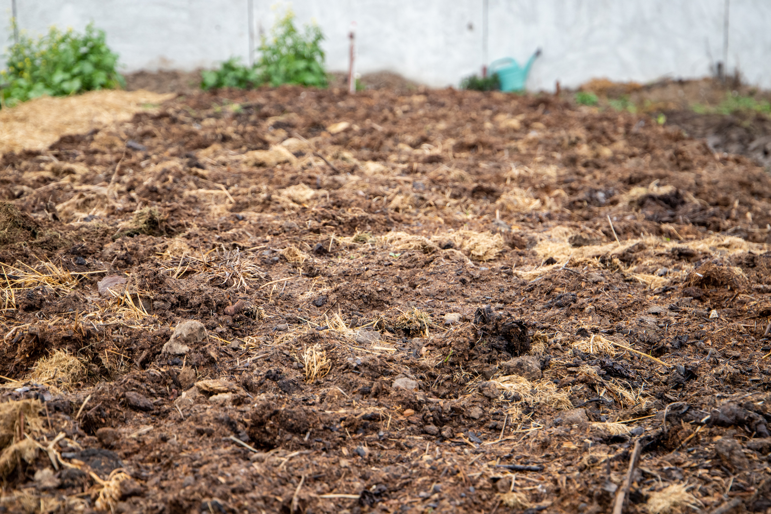 Юрист назвав ключову проблему з відкриттям ринку землі в Україні