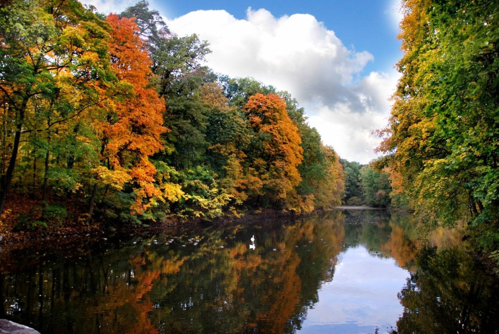 Парк Олександрія, Біла Церква