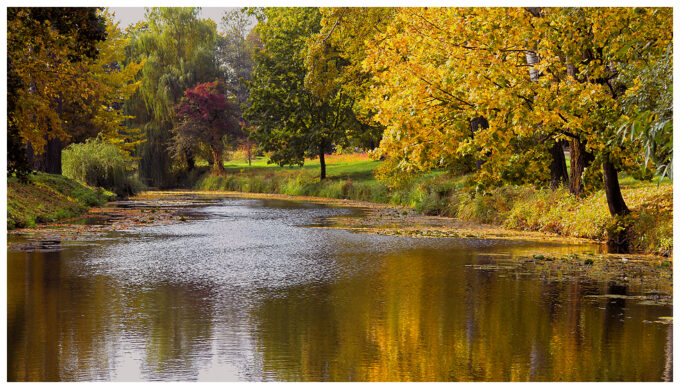 Парк Олександрія, Біла Церква