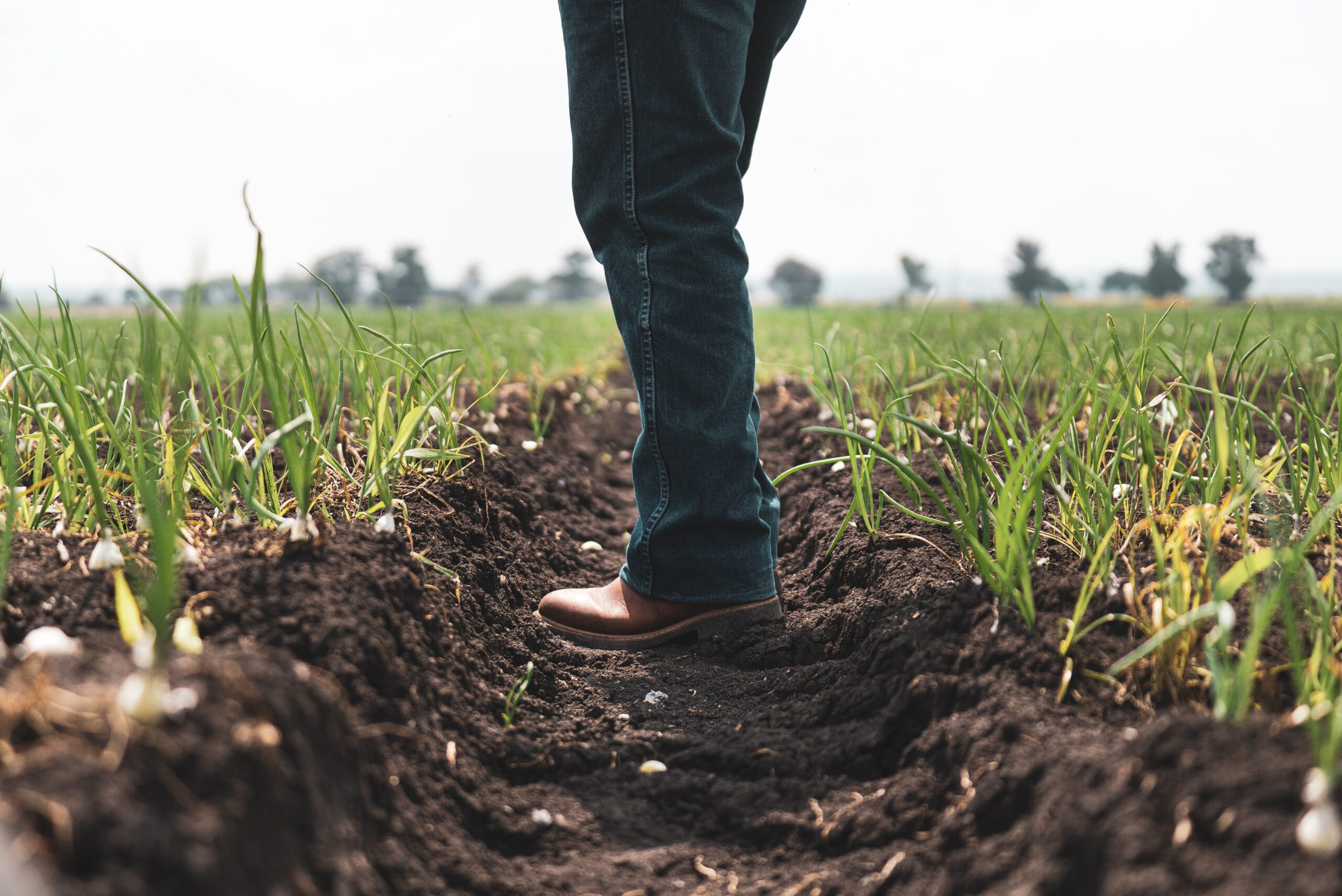 Ад или окно в Европу: какими могут быть заработки за границей