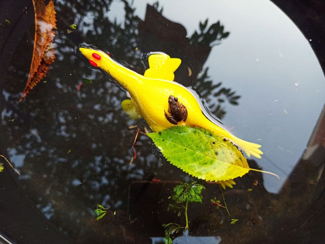 Погода в Україні: синоптики оголосили жовтий рівень небезпечності