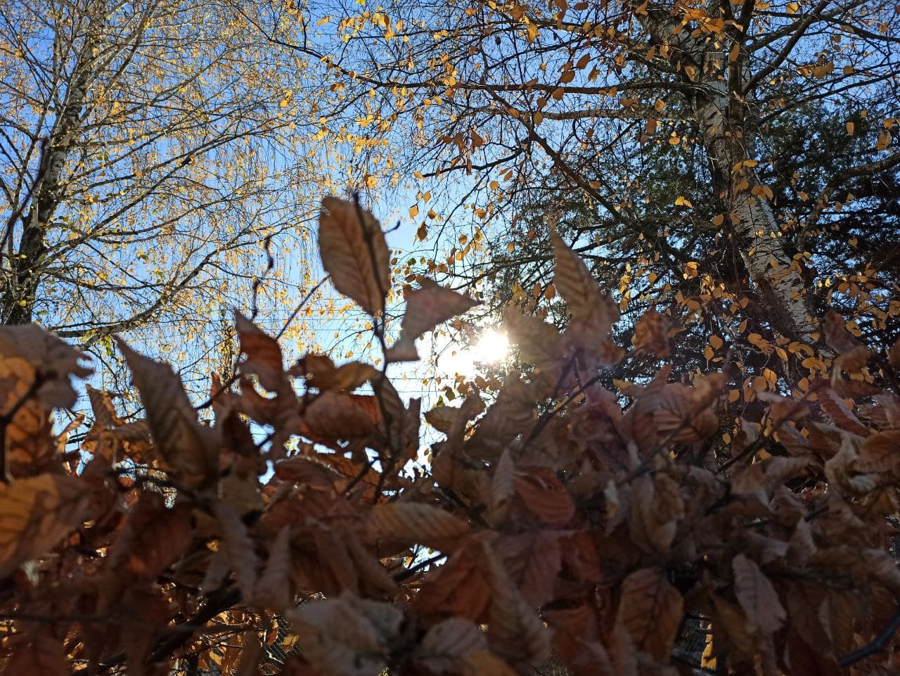 Теплу і хмарну погоду обіцяють українцям 2 листопада