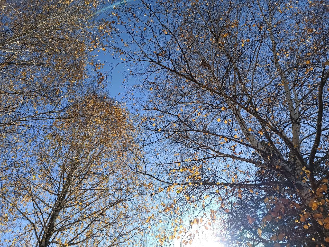 Тепло до конца недели: синоптик рассказал о погоде на ближайшие дни