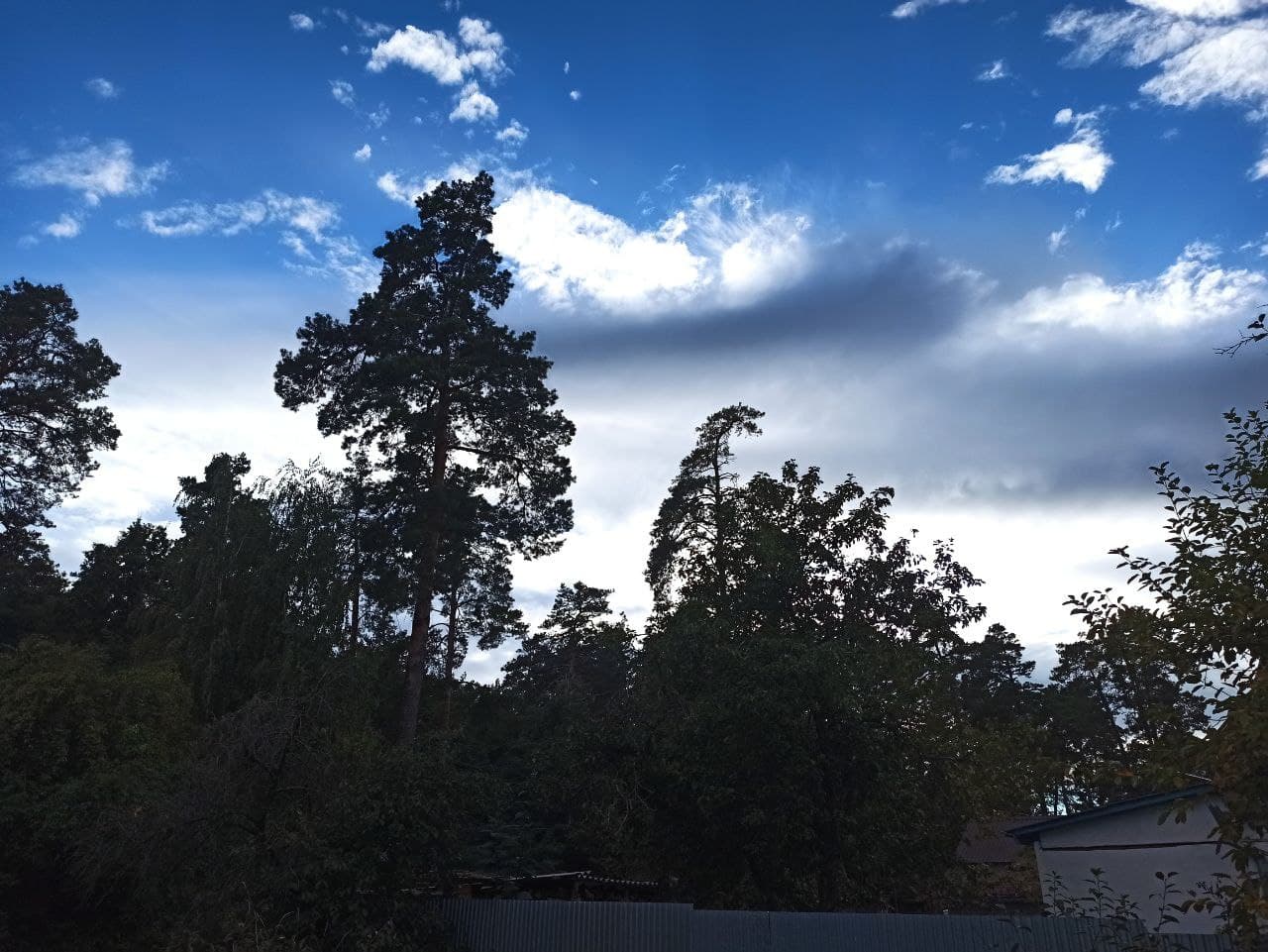 Ненастье в Украине: ветер обесточил 350 городов и сел, срывал крыши с домов