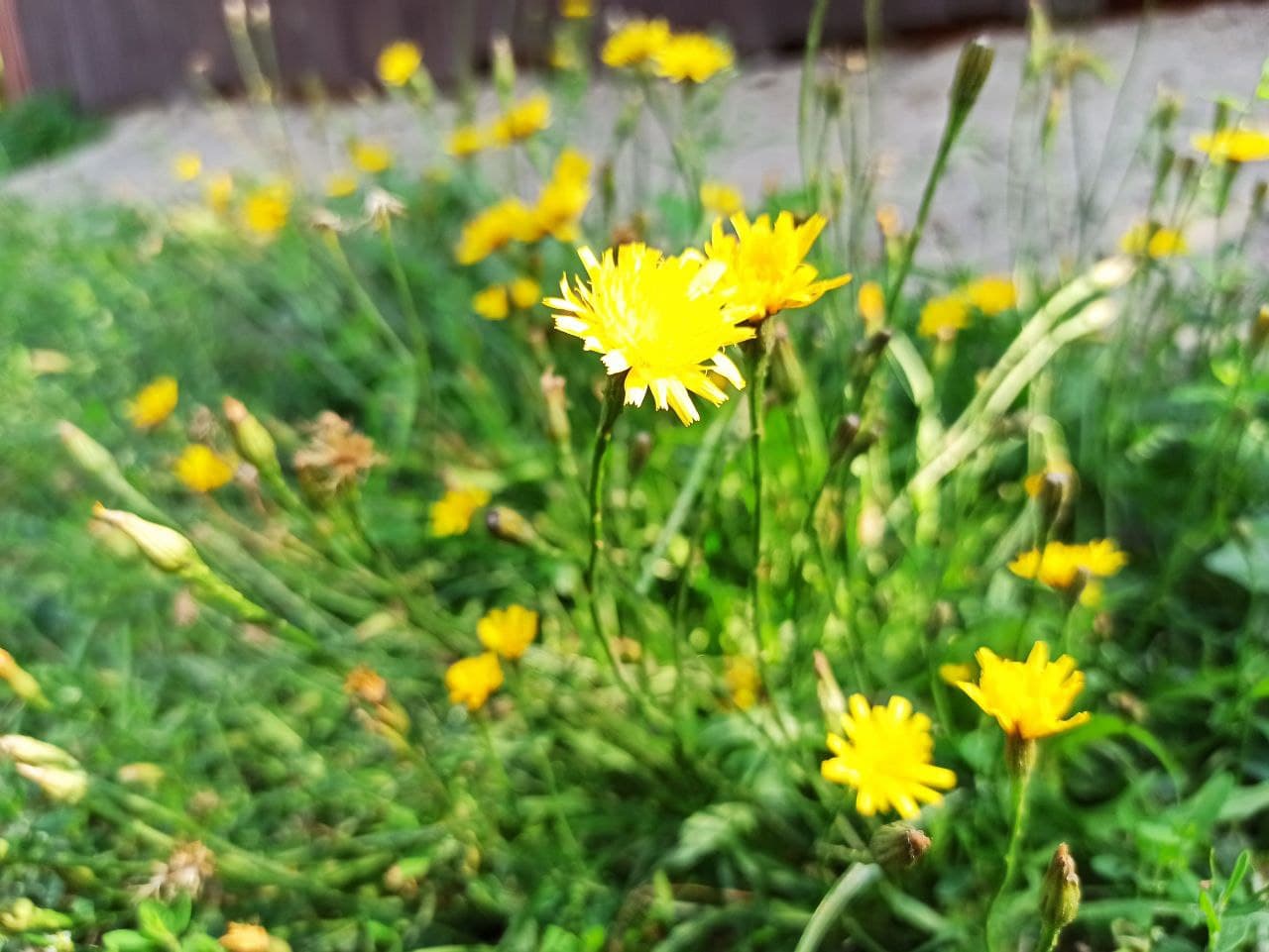 Опади ненадовго припиняться, а температура підвищиться: прогноз погоди на 20 квітня