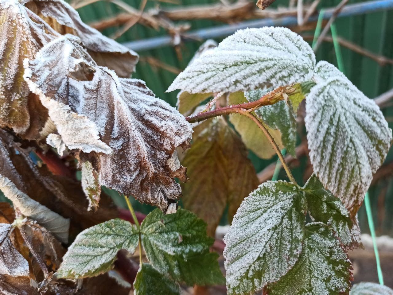 В Украину мчится похолодание: прогноз погоды на выходные
