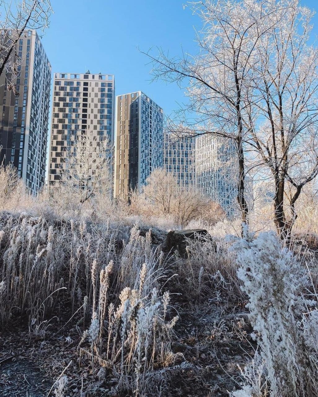 Морозно и без осадков: Укргидрометцентр о погоде на 26 января