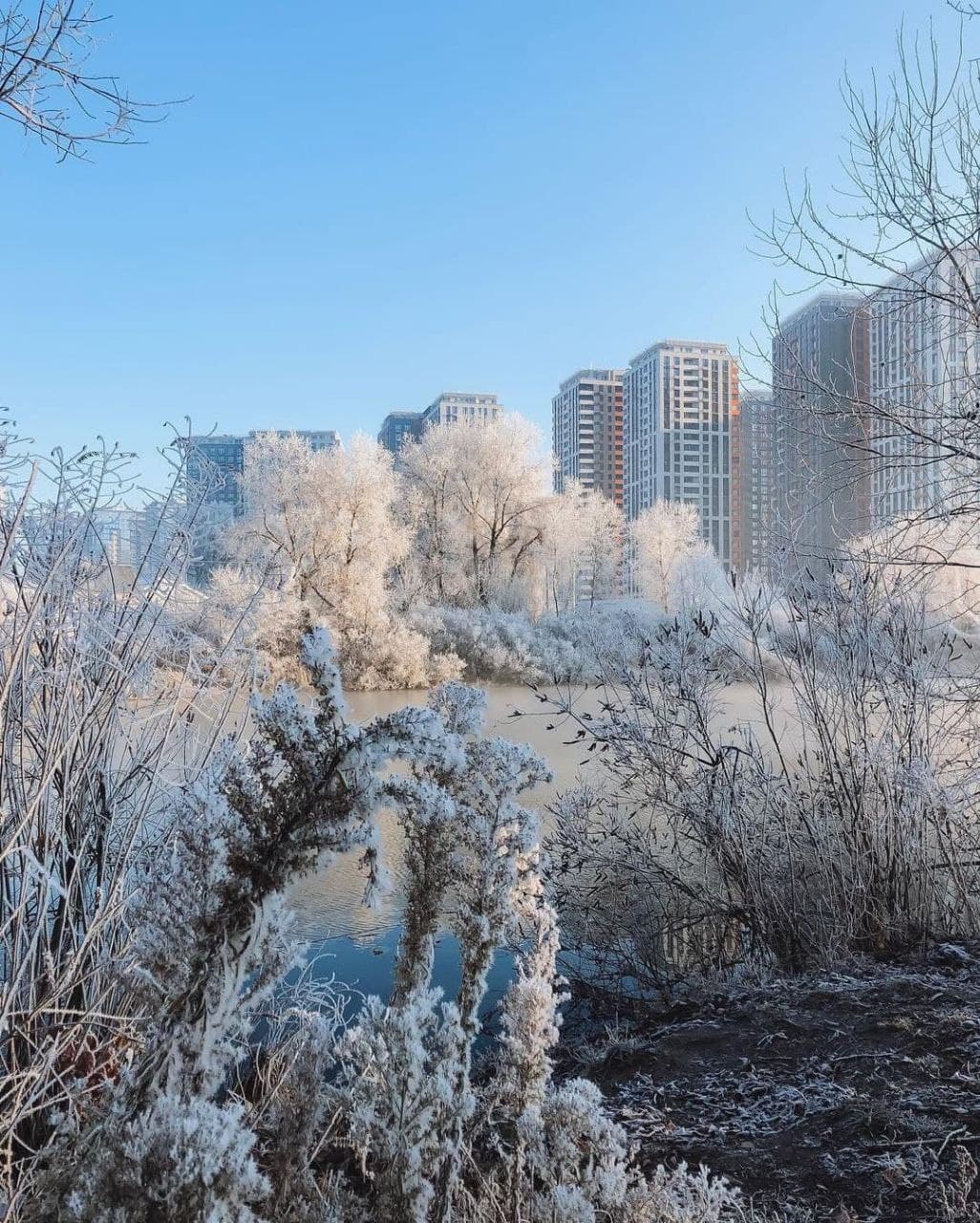 Зимняя погода будет в Украине всю неделю - синоптик