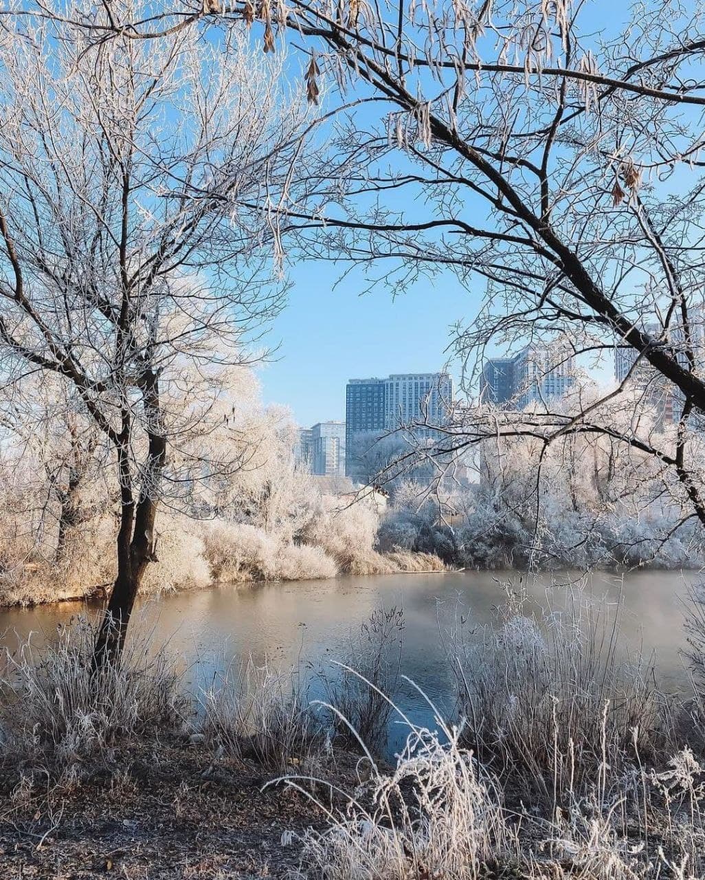 Сніг та морози: синоптики про погоду 13 грудня