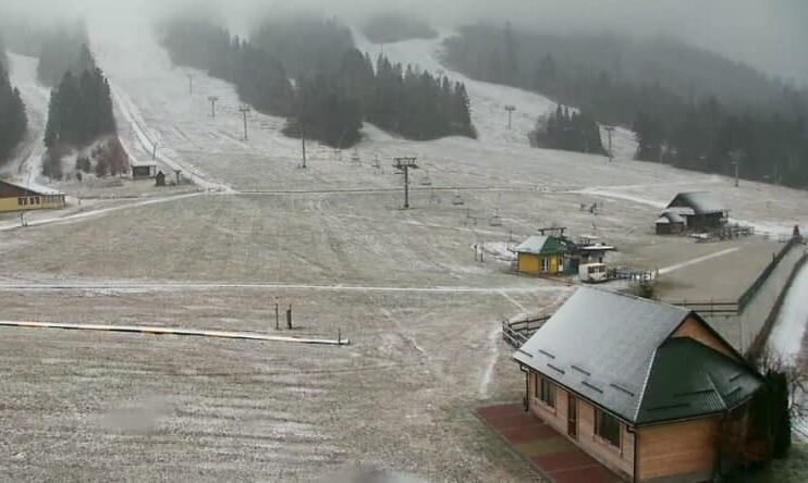 Во Львовской области выпал снег - фото
