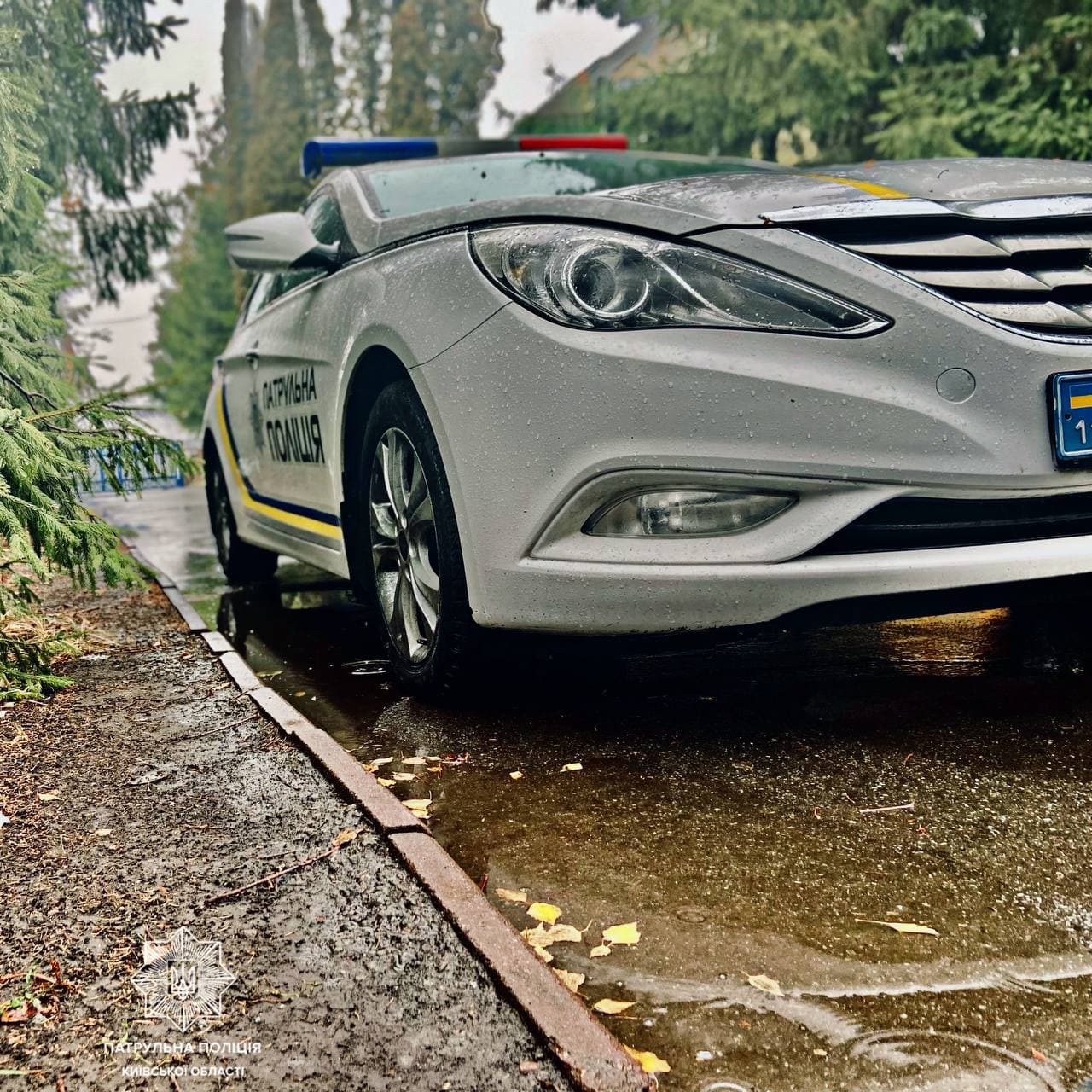 Багатодітна жінка у Боярці встромила ножа у співмешканця: відео