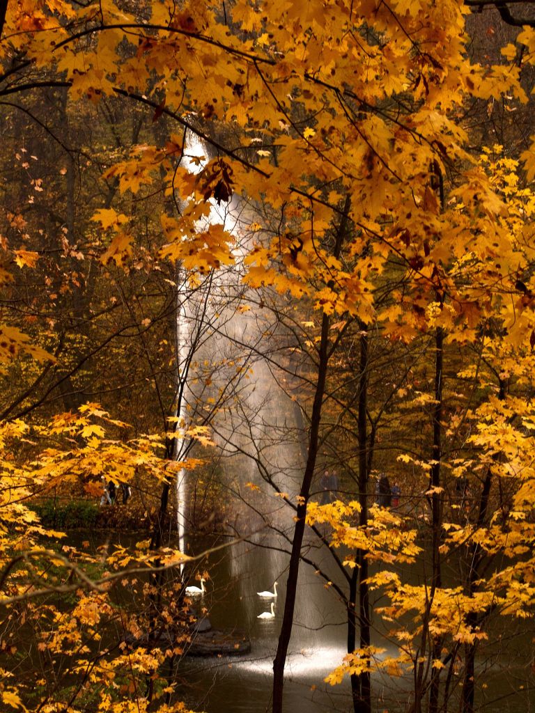 Парк Софиевка, Умань