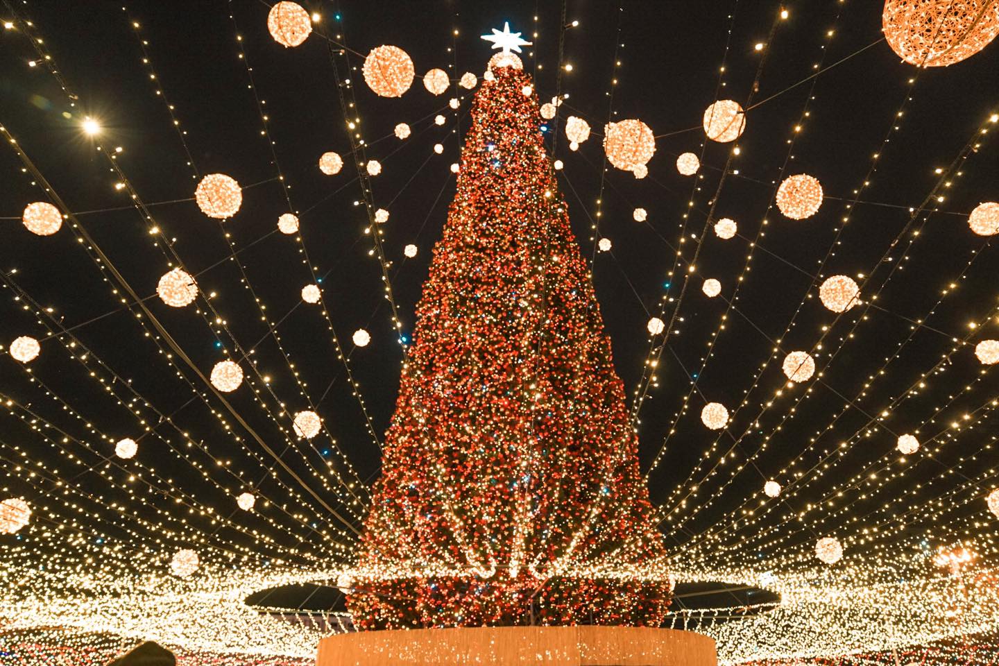 Новорічна ялинка у Києві на Софійській площі. Фото: facebook.com/FolkUkraine