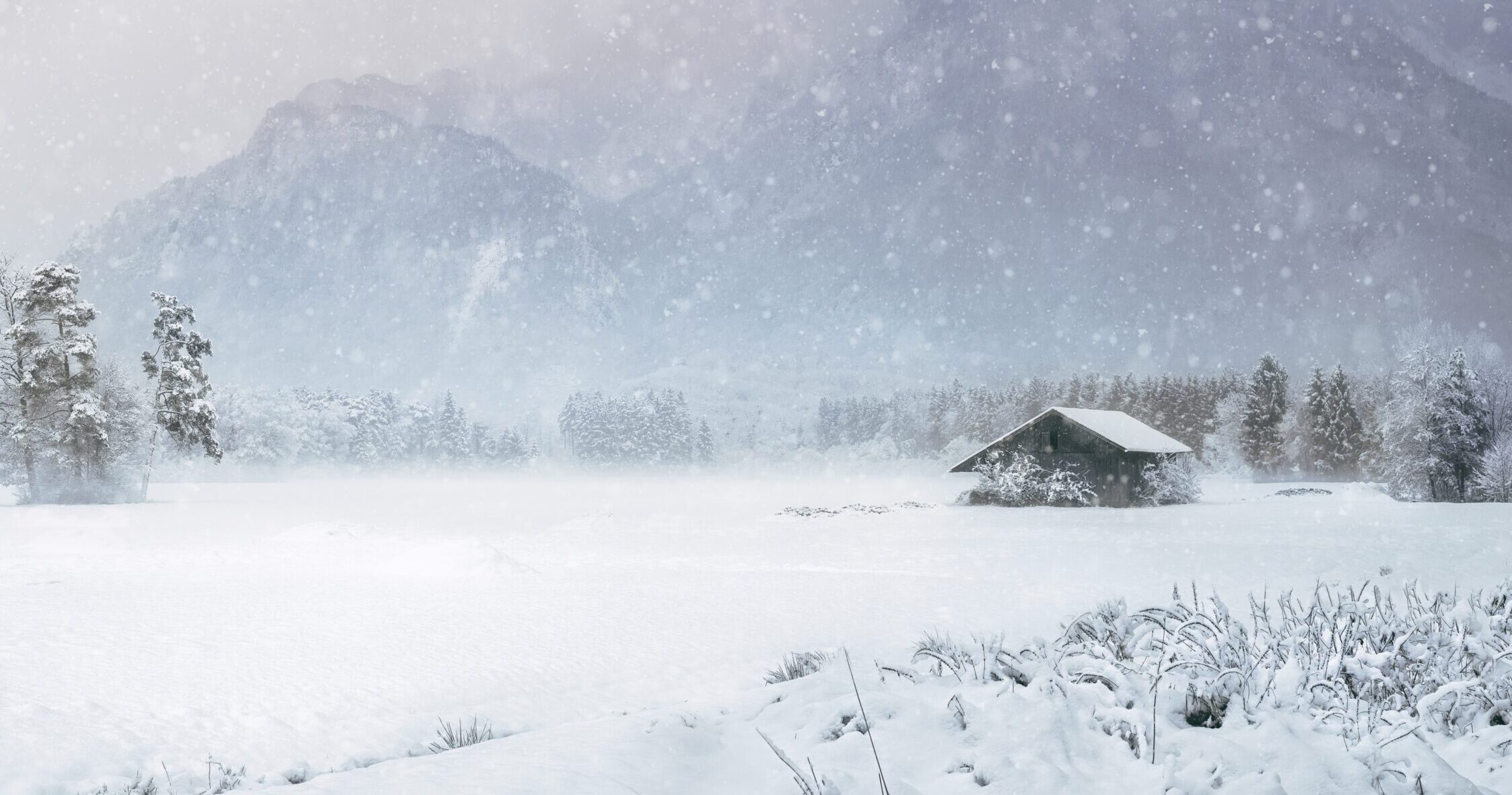 Туман та ожеледь можуть зупинити транспорт в Україні: погода на 31 грудня