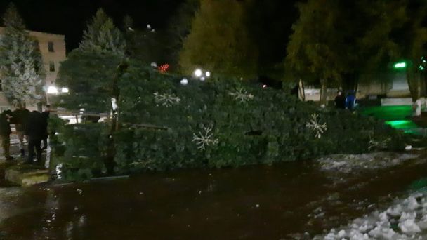 Ураганний вітер валив новорічні ялинки в регіонах України