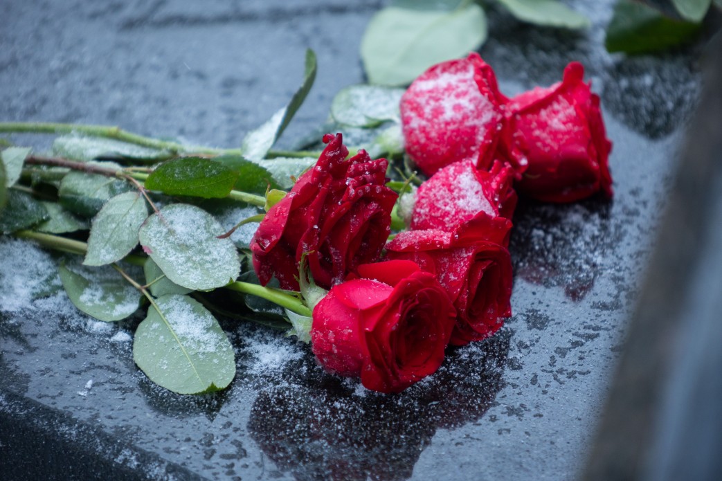 День вшанування пам'яті Героїв Крут / Фото: president.gov.ua/