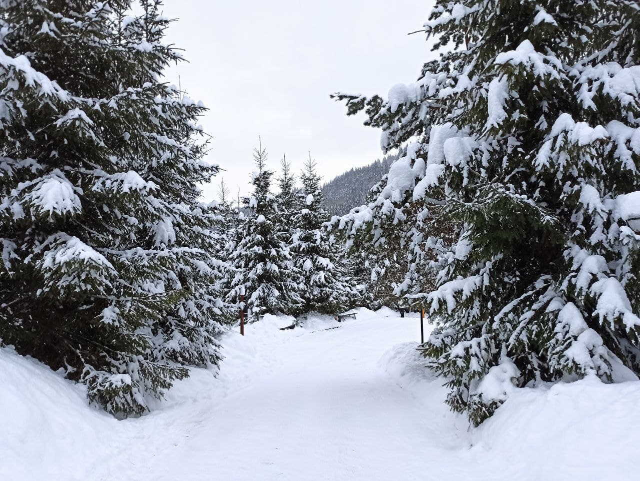 Оголошено жовтий рівень небезпеки: синоптики про погоду на 6 грудня