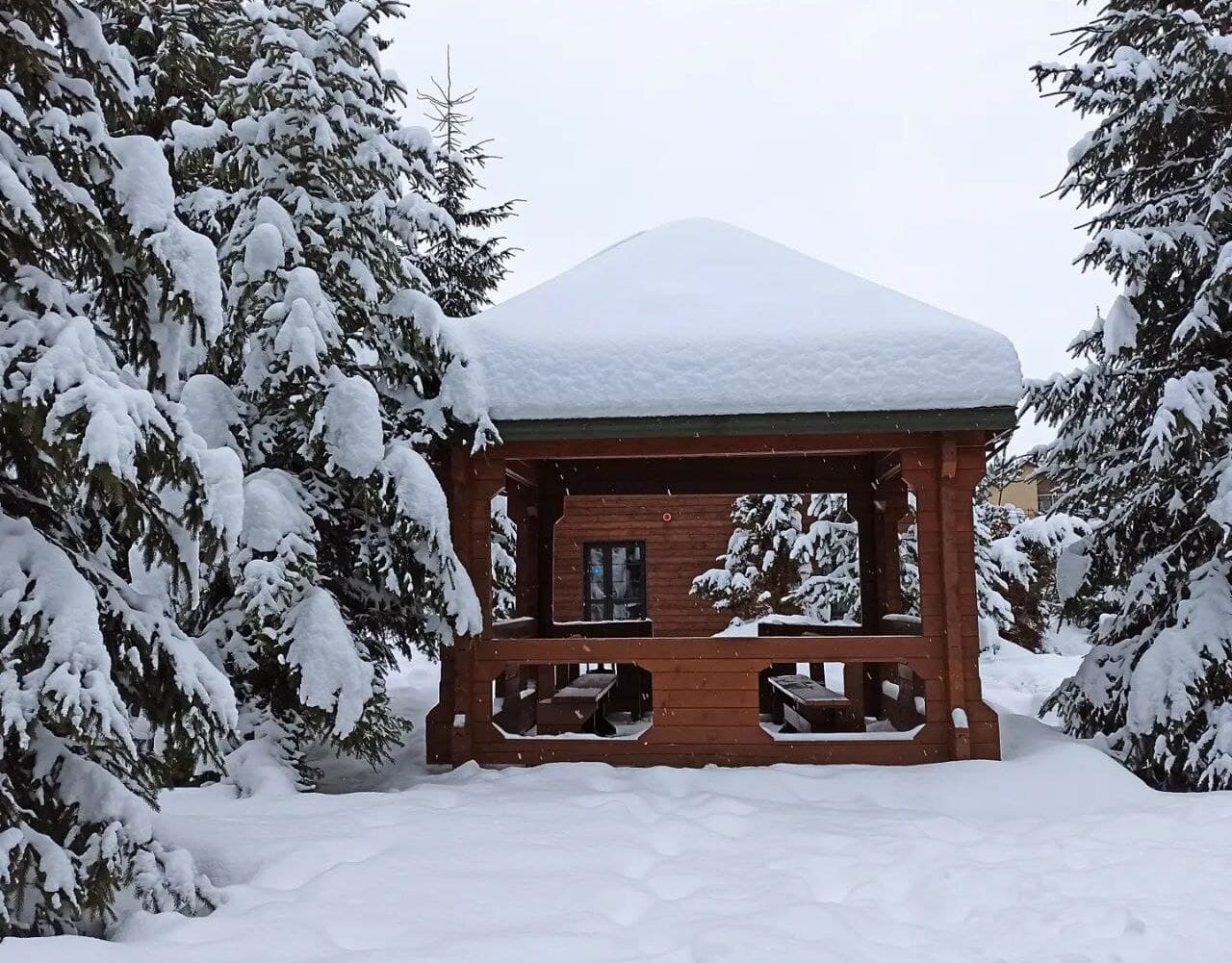 Дожди с мокрым снегом и небольшие морозы: прогноз погоды на выходные 4-5 января