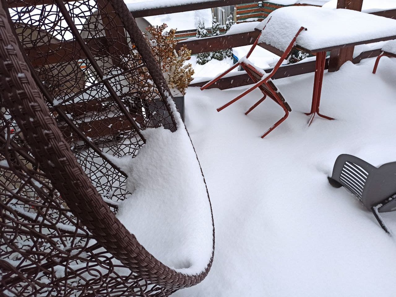 Морозы, снег и гололедица: синоптики о погоде 25 января