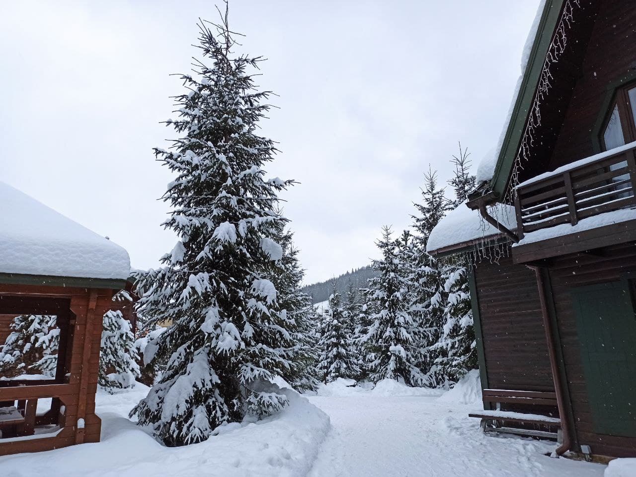 Усиление ветра и морозы: синоптики о погоде 26 января