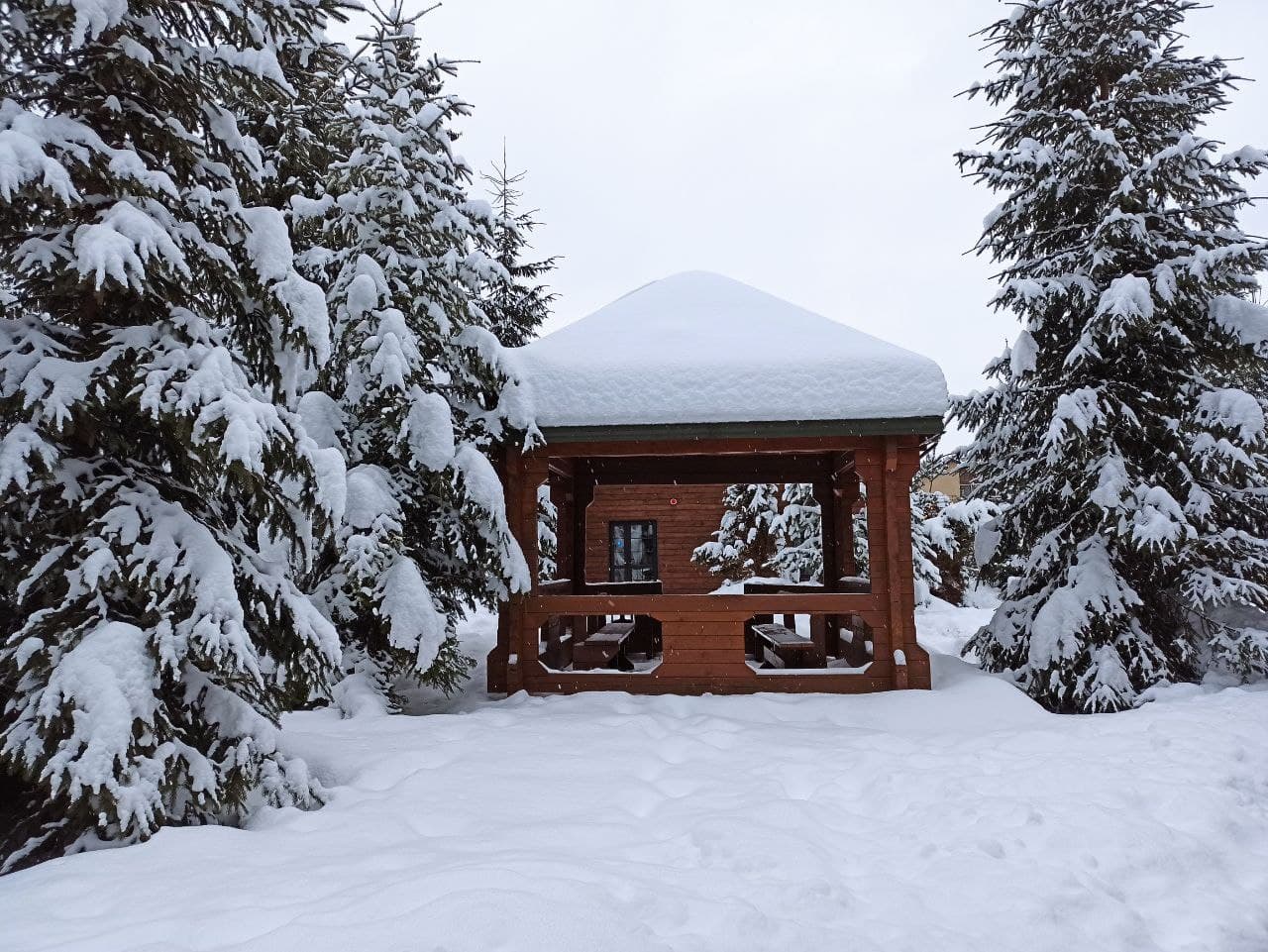 Погода у лютому буде більше схожа на зимову, ніж у січні - синоптик