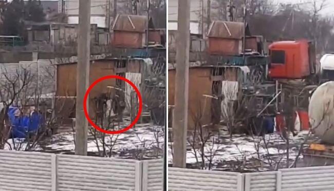 Гатили палицями: російські військові крали птицю в українців (відео)