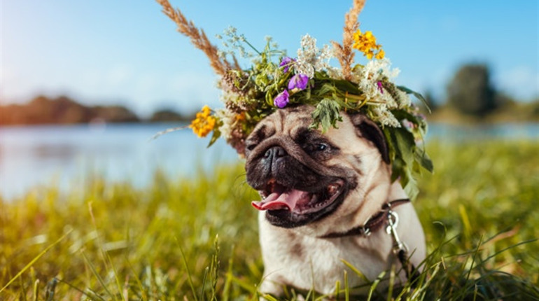 Гороскоп на апрель 2022 года: трудности ожидают все знаки зодиака