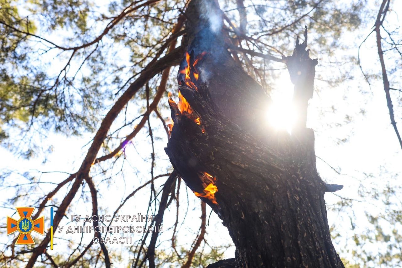 Спека насувається: в Україні оголошено надзвичайний рівень пожежної небезпеки