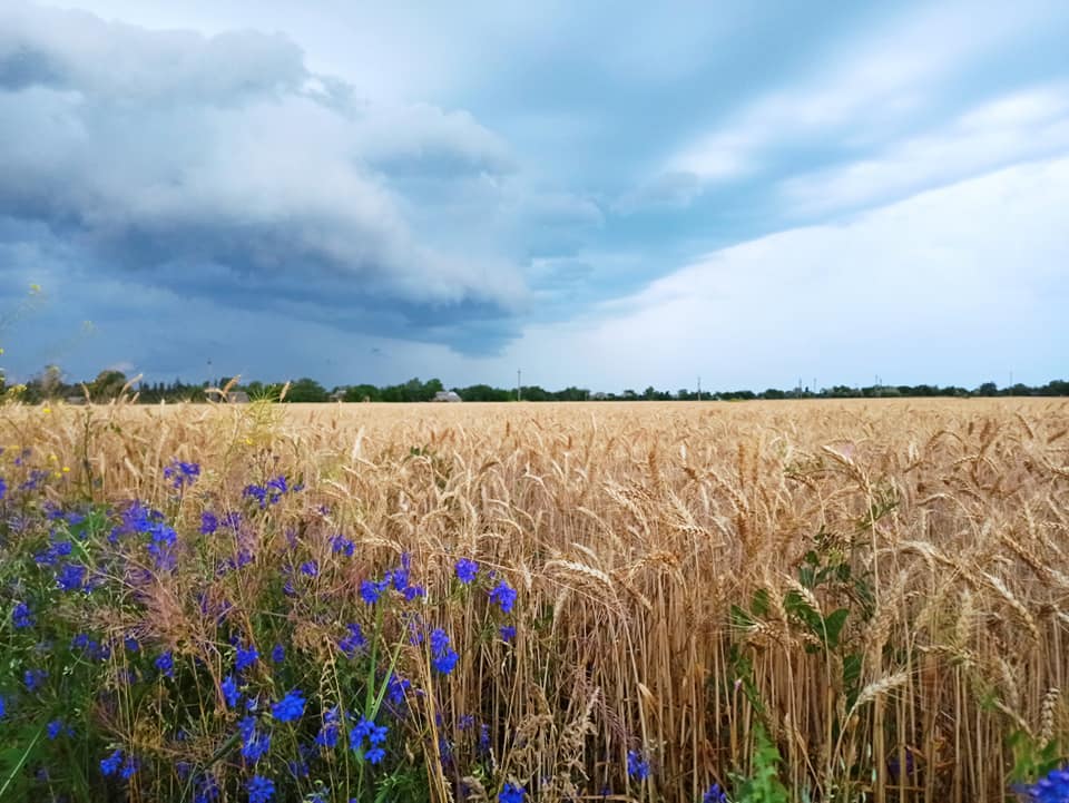 Летняя жара ожидается в Украине 2 июня