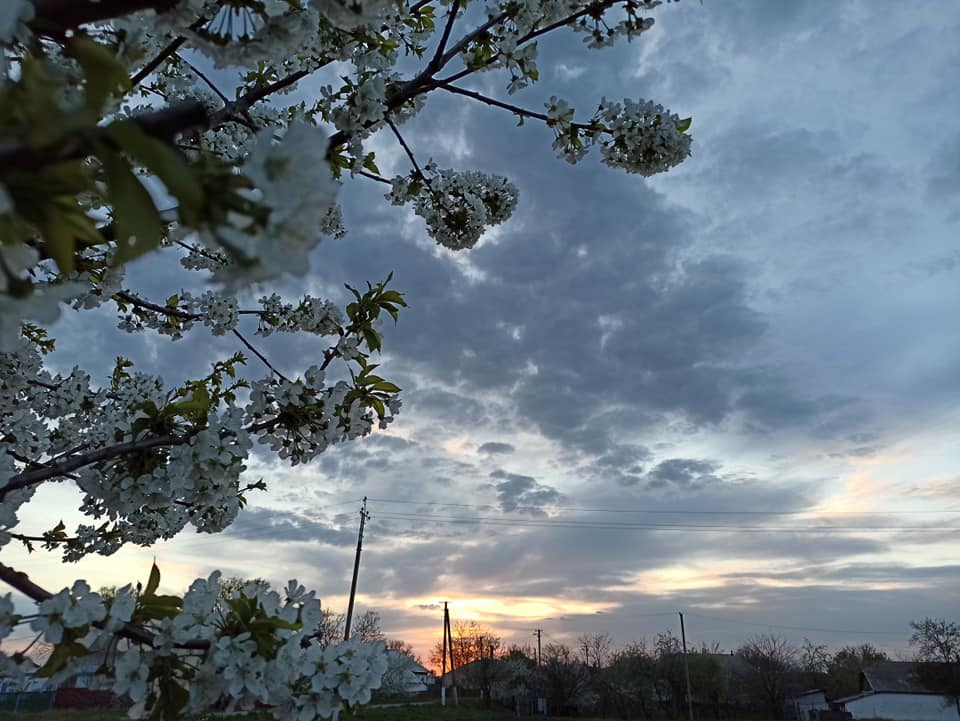 Первый уровень опасности: синоптики предупредили о грозах и граде