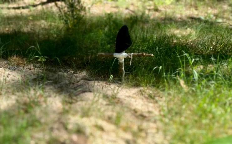 В Буче продолжают находить тела убитых оккупантами людей - фото