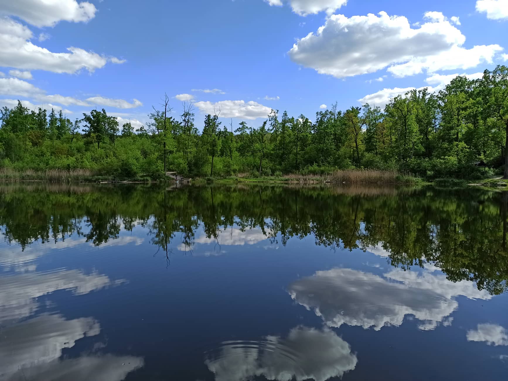 Жара, град и грозы: синоптики о погоде 30 июня