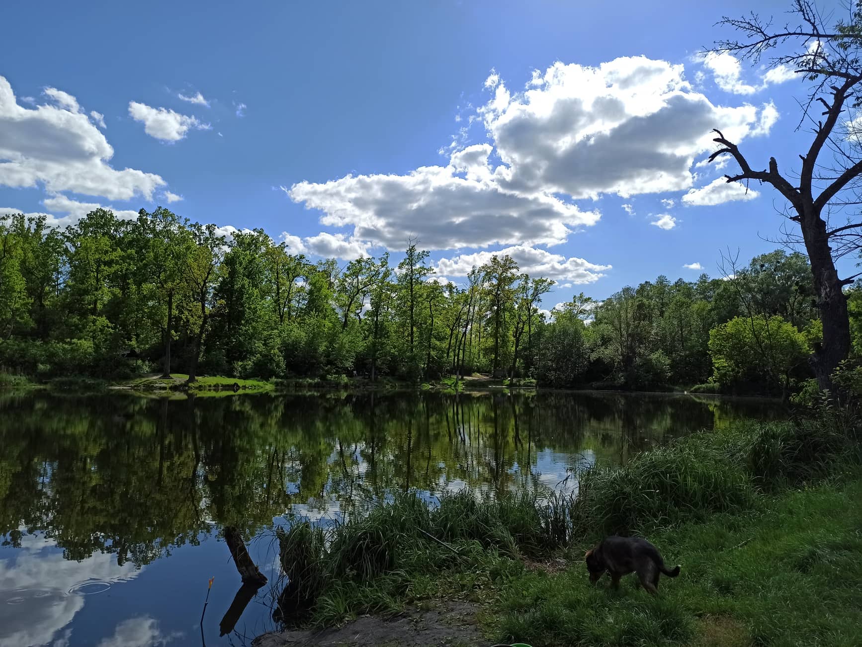 В Украине с 3 сентября ожидается ощутимое похолодание - синоптик
