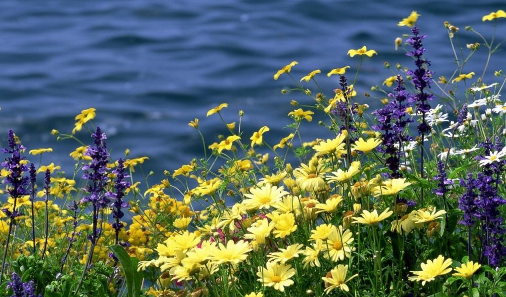 Прохладный и дождливый: синоптики рассказали о погоде в июне