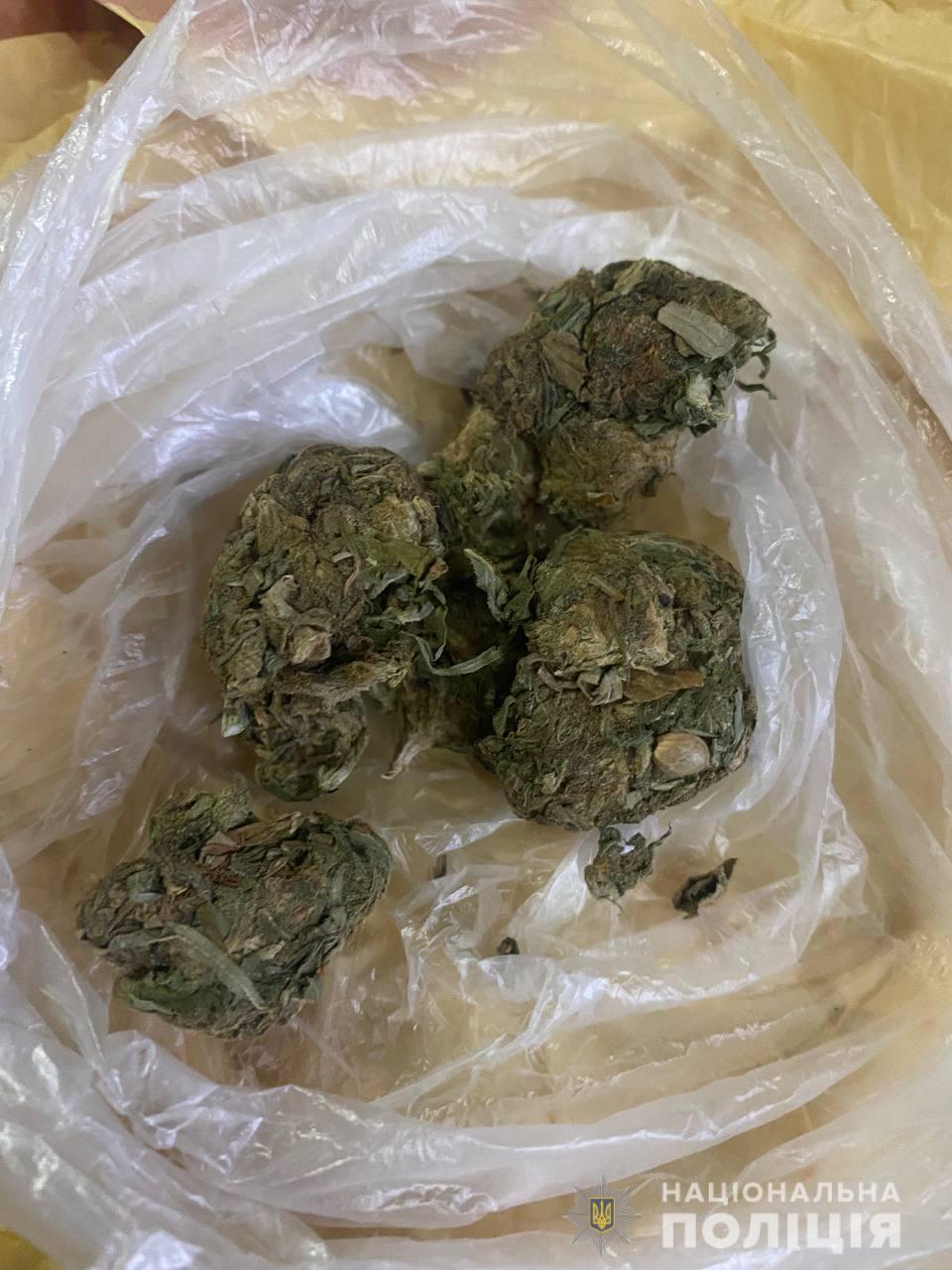 Пенсіонерки з Одеси постачали наркотики до трьох областей Півдня - фото, відео