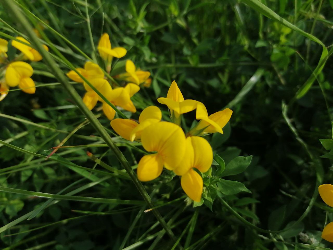 Потепление начнется в Украине 16 мая