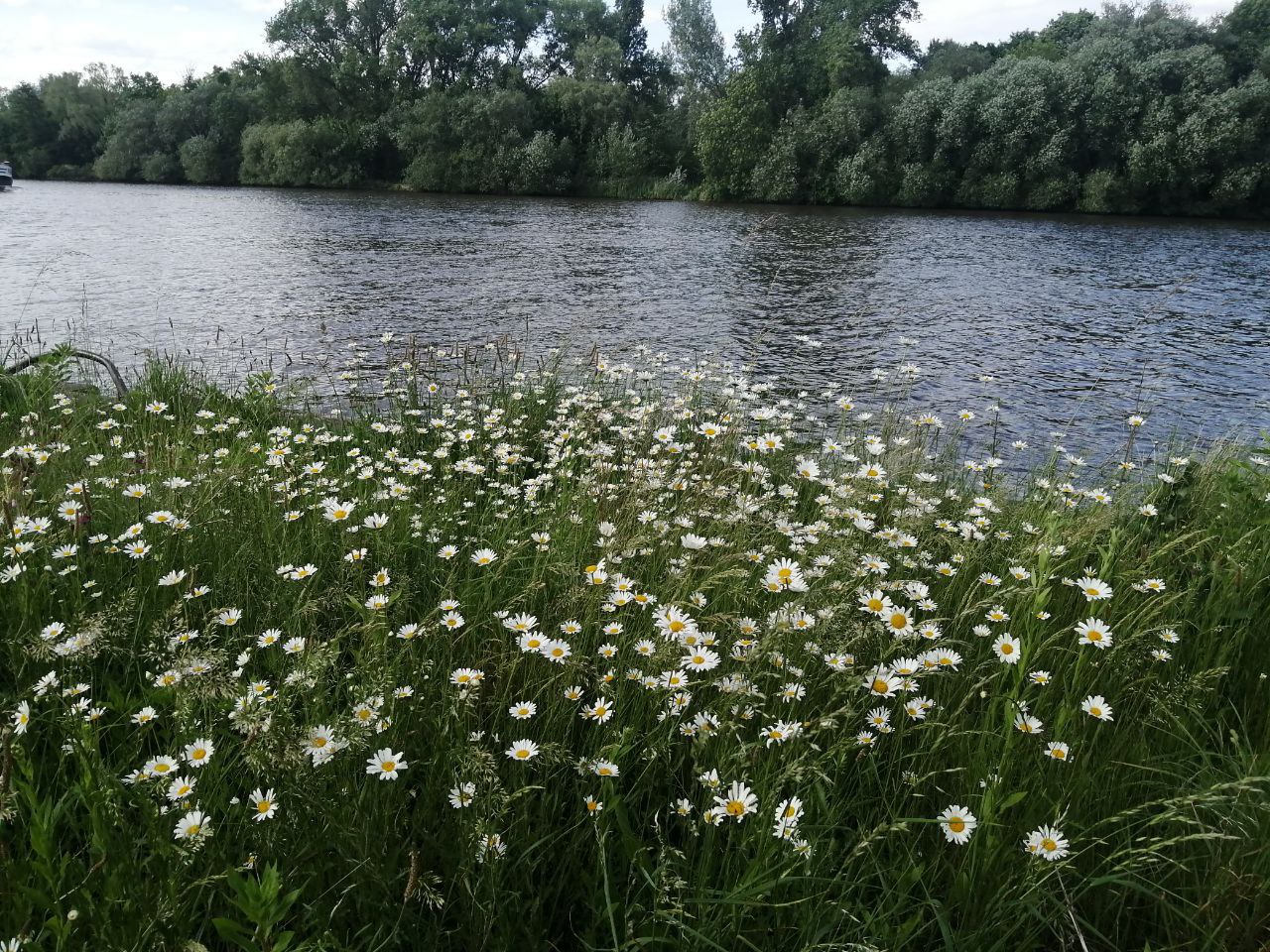 Грози, град та шквали: у яких областях зіпсується погода