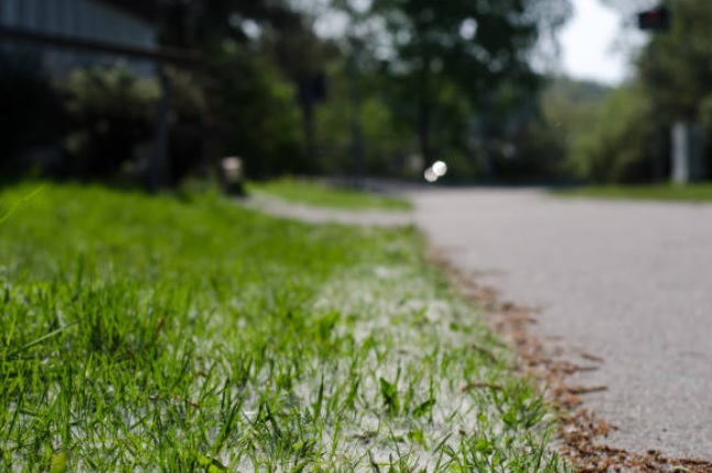 У Вінниці випав град розміром з перепелине яйце - фото