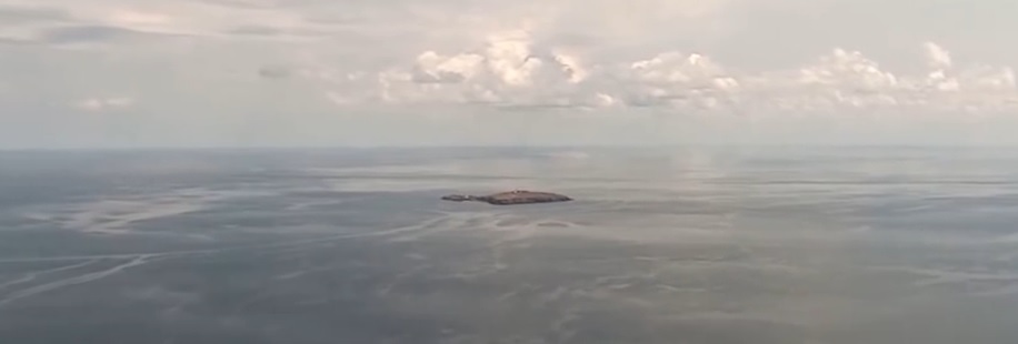 Залужний показав, як орків "попросили піти" зі Зміїного - відео