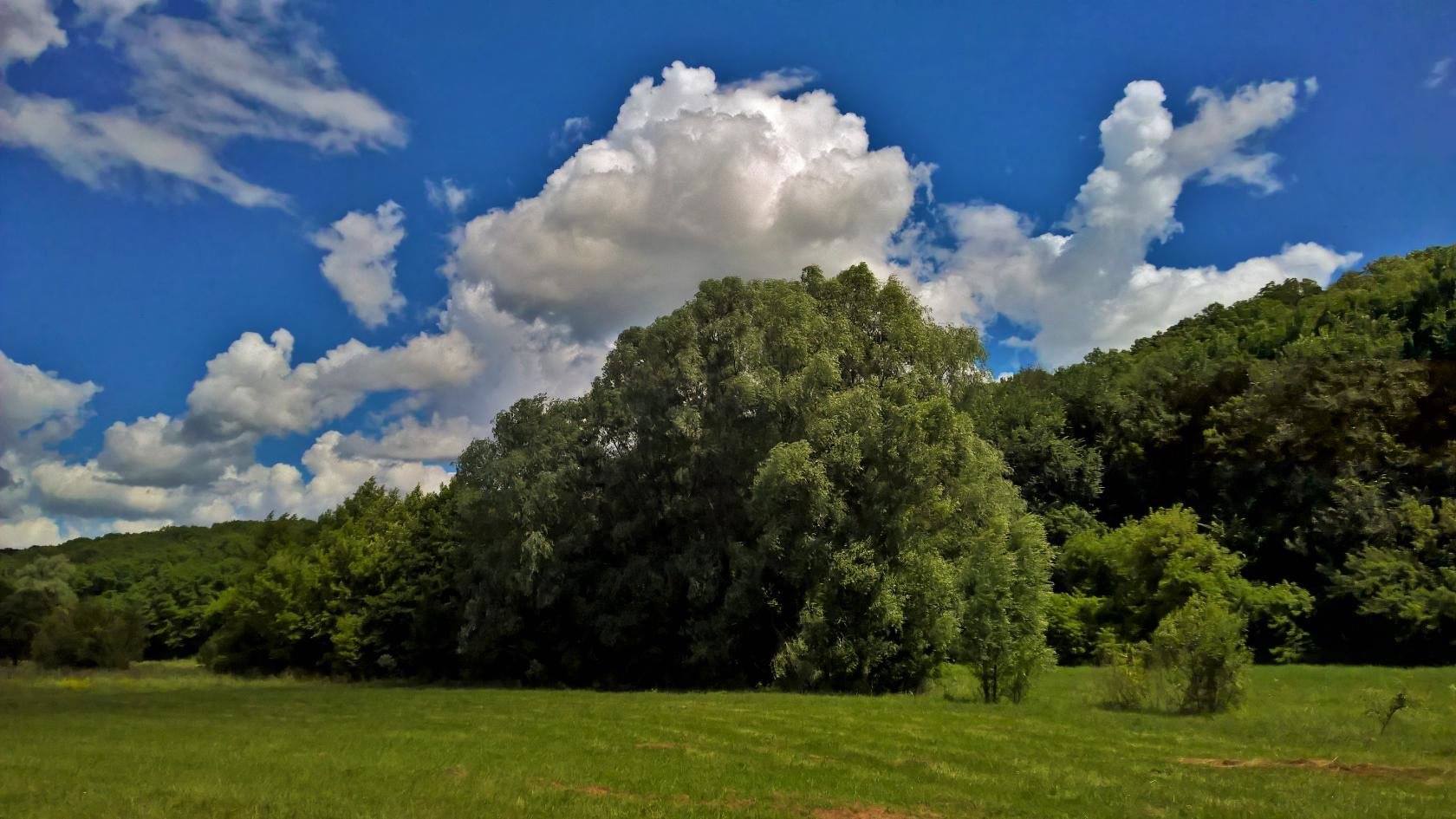 Тепло и преимущественно сухо: какой будет погода 20 июля