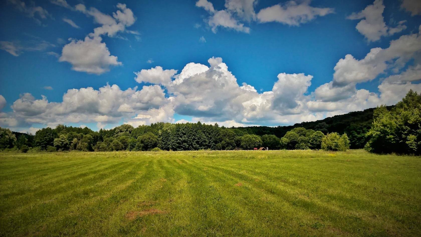 Жара усилится: какой будет погода 29 июля