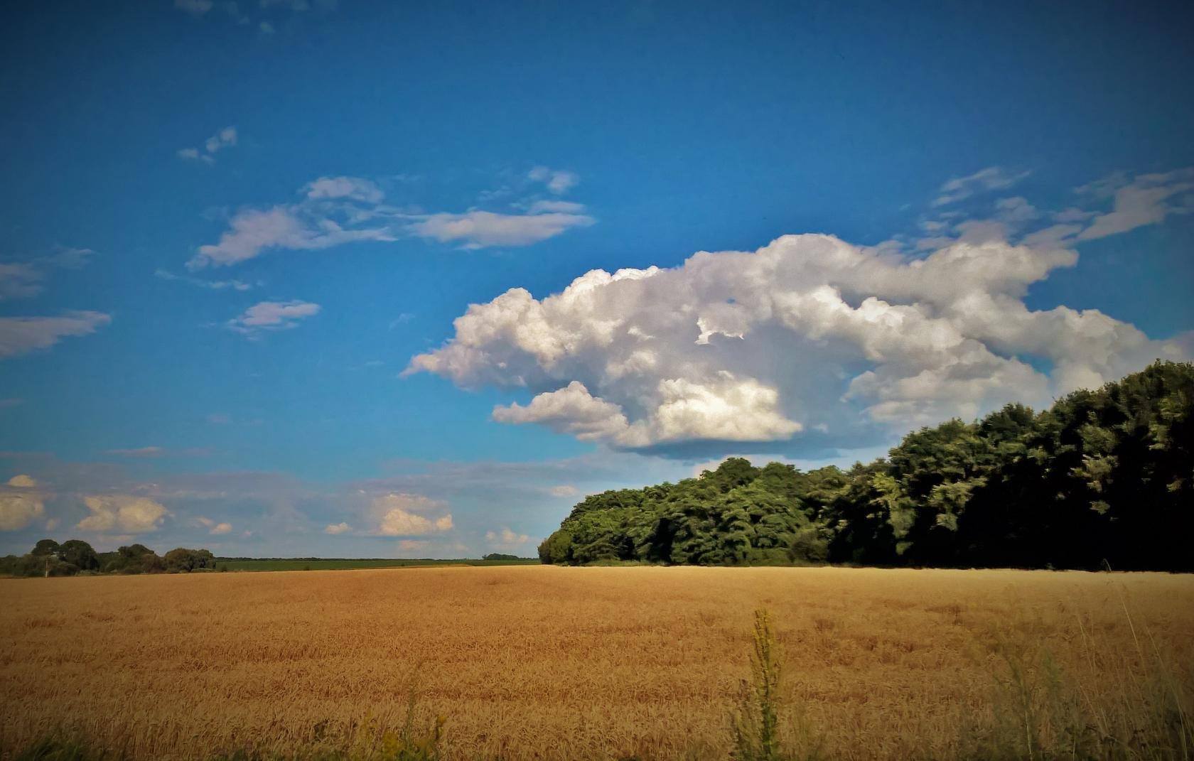 Дожди и прохлада задержатся: синоптики о погоде 18 июля