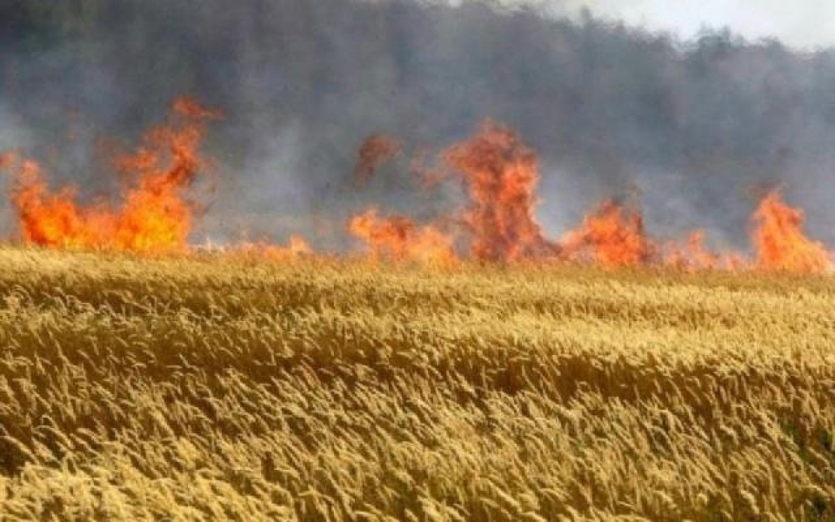 Росіяни зруйнували сонячну електростанцію у Криворізькому районі, горять поля, - ДСНС